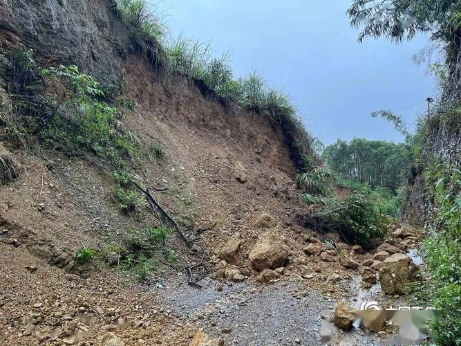 象州疫情观察：桂中交通枢纽的防疫压力与地理屏障