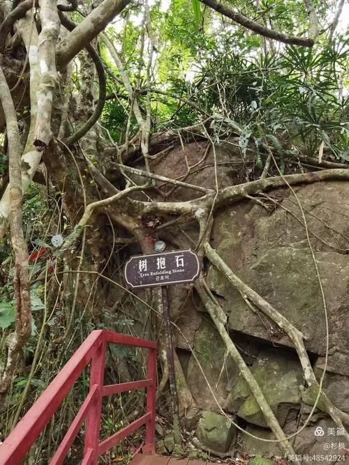 五指山热带雨林屏障下的零感染坚守：地理优势如何隔绝病毒传播？