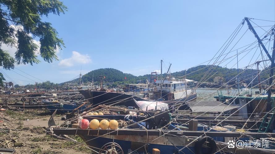 台山：沿海侨乡的疫情防线与破防时刻