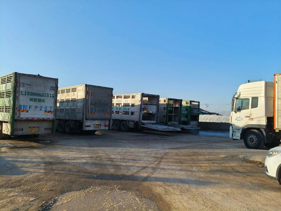 寿光蔬菜物流枢纽下的疫情破防与围堵_24182