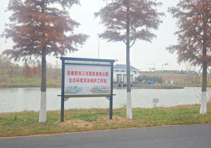 大丰：黄海湿地屏障下的零感染坚守_73053