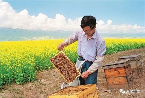 门源新增1例无症状感染者  门源县疫情防控最新通报_65865