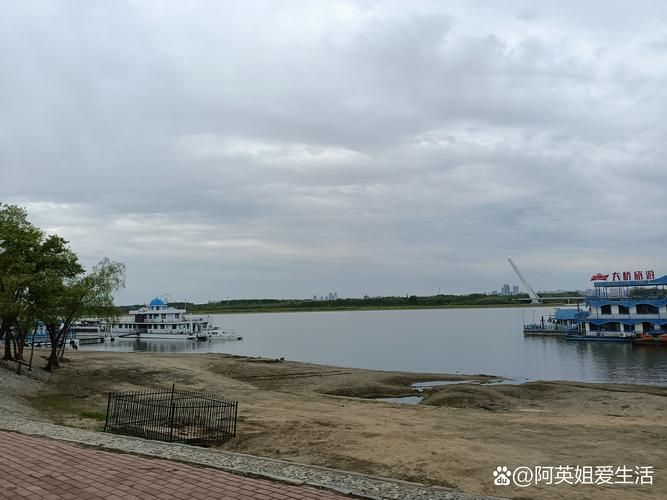 盘锦：辽河湿地屏障下的疫情防波堤_75085