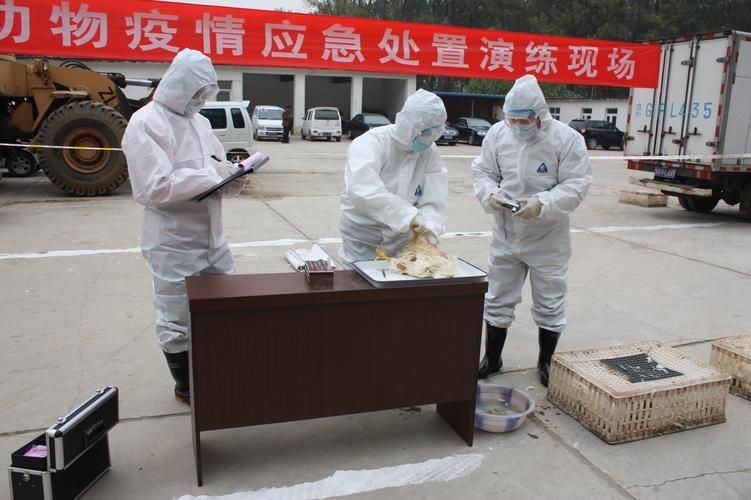 庄河港区突发疫情：半岛冷链枢纽的防疫压力测试