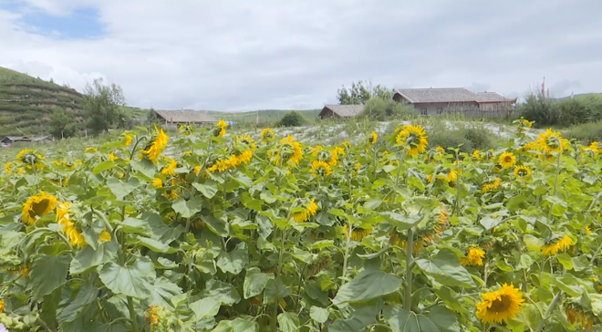 高原门户的防疫坚守：松潘零感染背后的地理屏障与社区网格