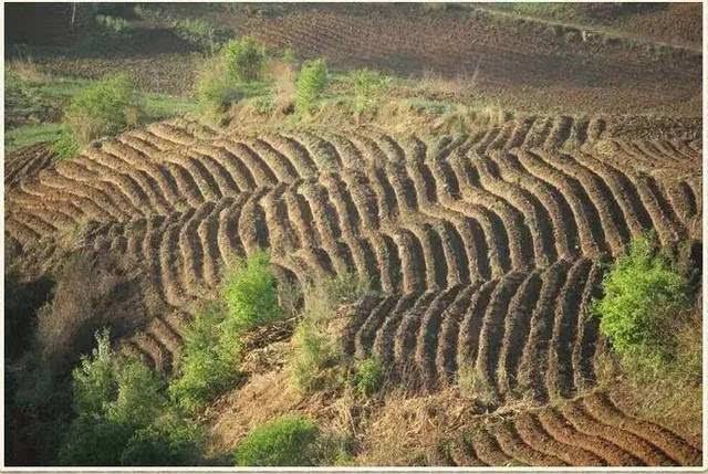 辽源市疫情观察：东北小城的防控地理学