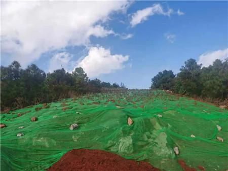 五华县：山区屏障下的疫情数据与防控逻辑