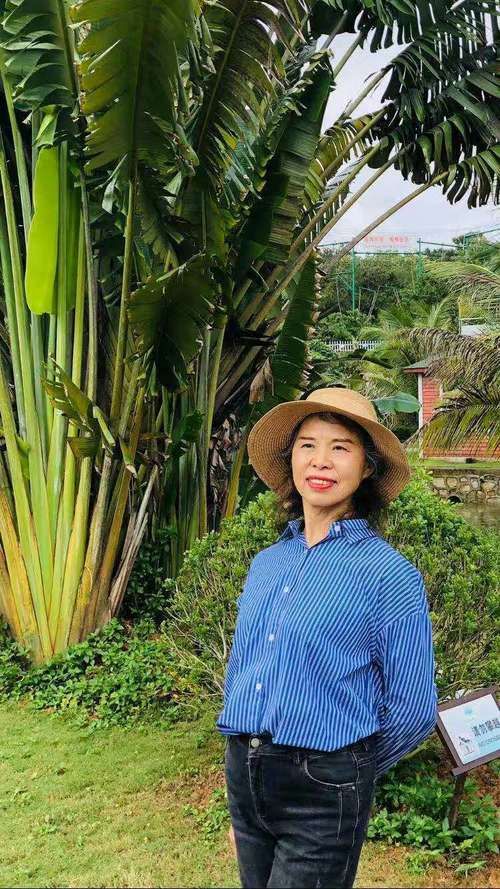 屯昌：海南中部生态屏障下的低感染样本