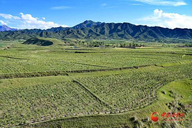 高原屏障下的零感染坚守：乌当区防疫地理优势解析