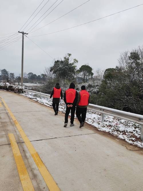 庆安县的防疫屏障：寒地黑土如何构筑零感染防线
