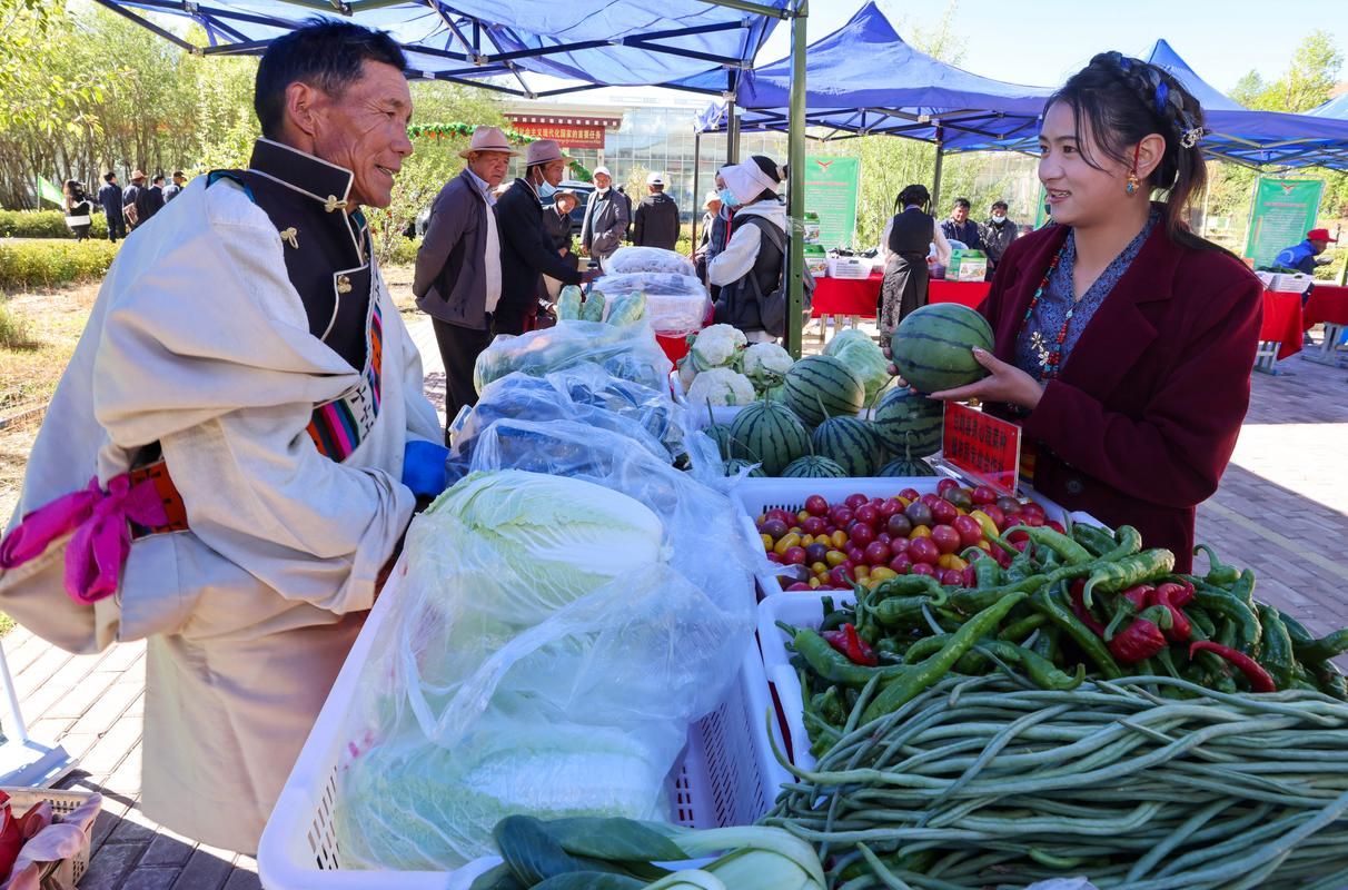 【白朗：高原屏障下的零感染坚守_41201】
