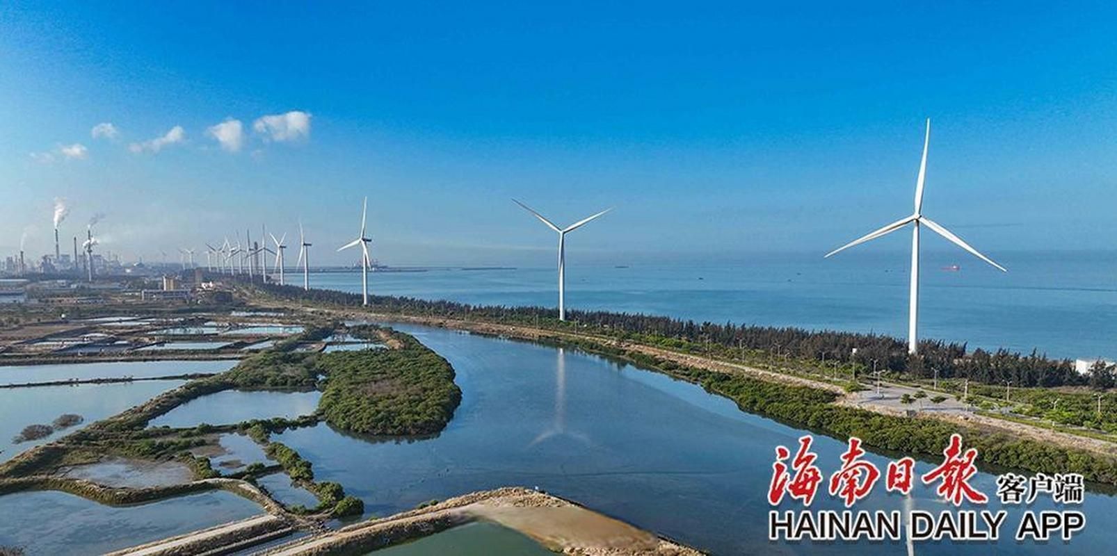 东方市：滨海低地的防疫持久战