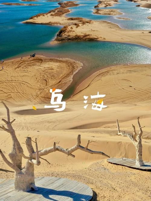 阿瓦提：塔河绿洲的静默防线与零星破防