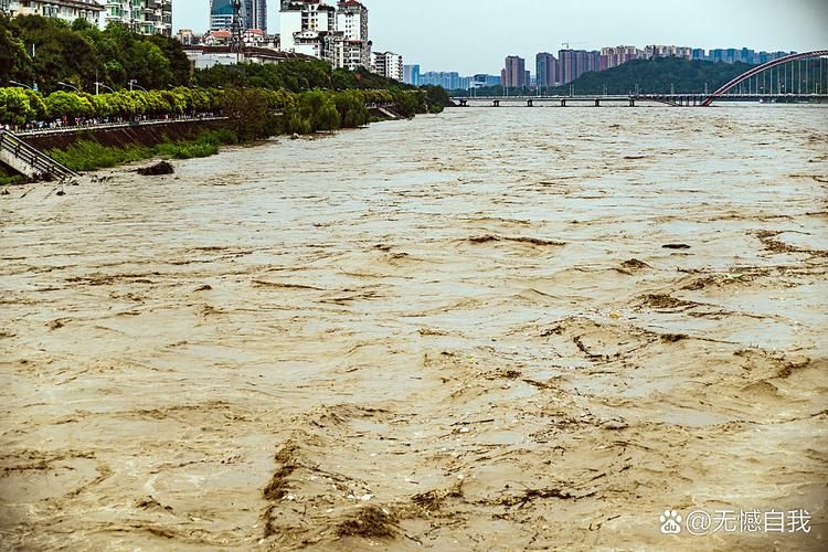 金堂：沱江分水岭下的疫情防线与破口_28739