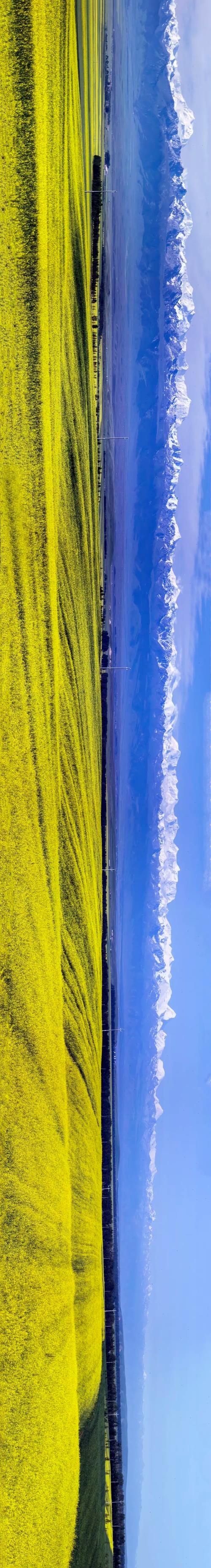 【昭苏：天山屏障下的零感染坚守与防控逻辑】