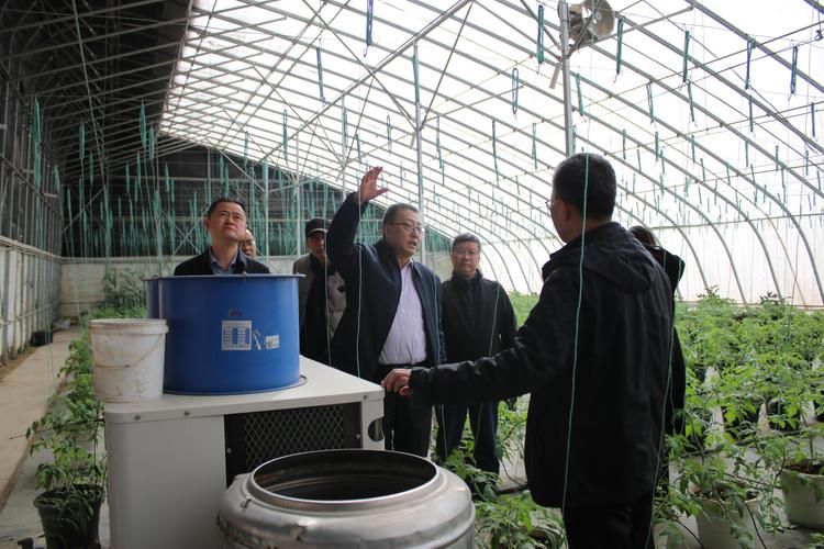 昌吉市疫情观察：绿洲农业区如何构筑防疫屏障_72987