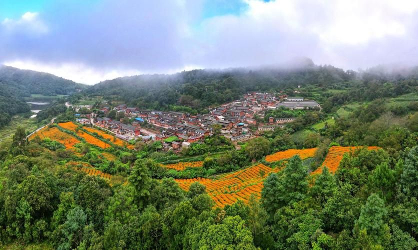 双柏新增1例无症状感染者  双柏县疫情防控最新通报_68735