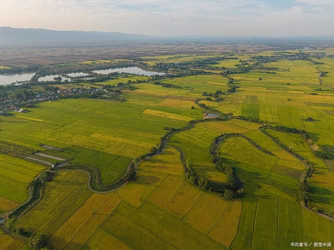 常德：洞庭湖平原的防疫韧性从何而来？