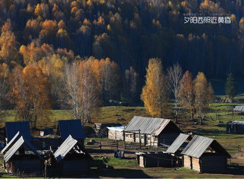 讷河市：北纬48度的边境防疫样本