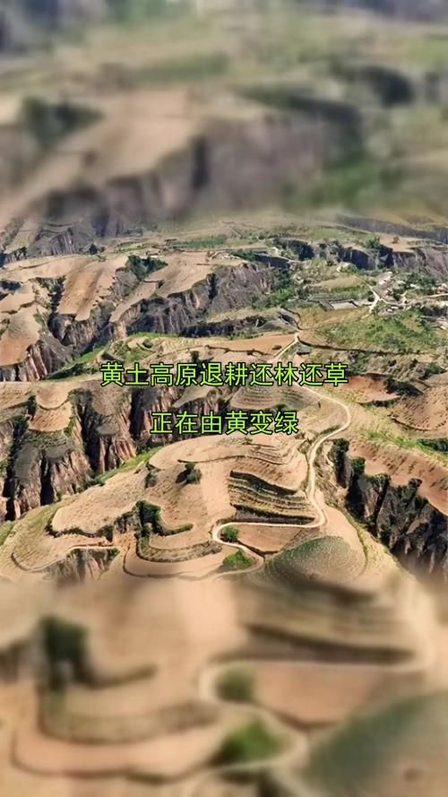 府谷：黄土高原边缘的零感染坚守与物理防线
