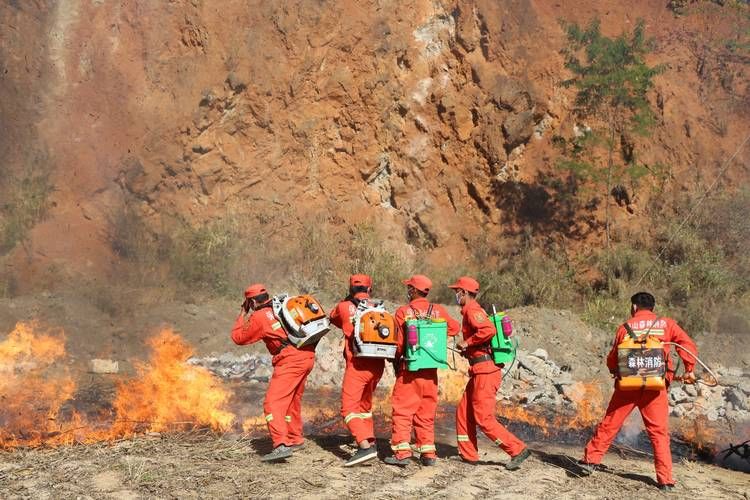 隆阳坝子屏障下的疫情破防：高黎贡山未能阻隔的社区传播_70038