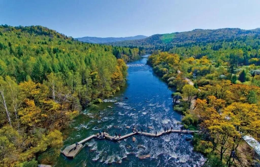 【伊春林海雪原的防疫屏障：地理隔绝下的低感染样本】