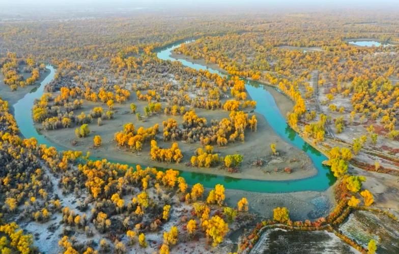 阿克苏：塔河屏障下的防疫破局与地理防线