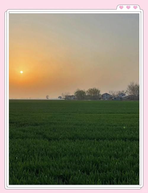 内黄：豫北平原农业县的疫情防线与破口