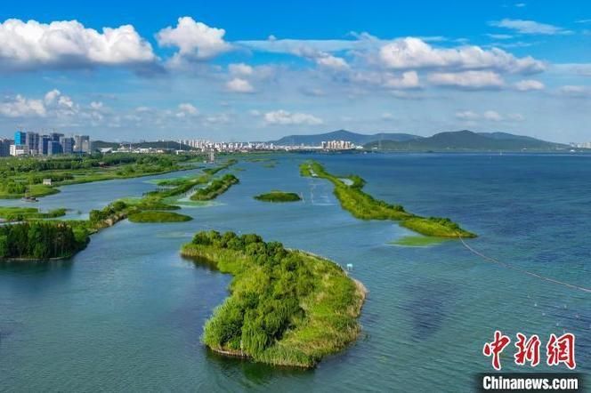 太湖之畔的无锡：水陆枢纽下的疫情突围