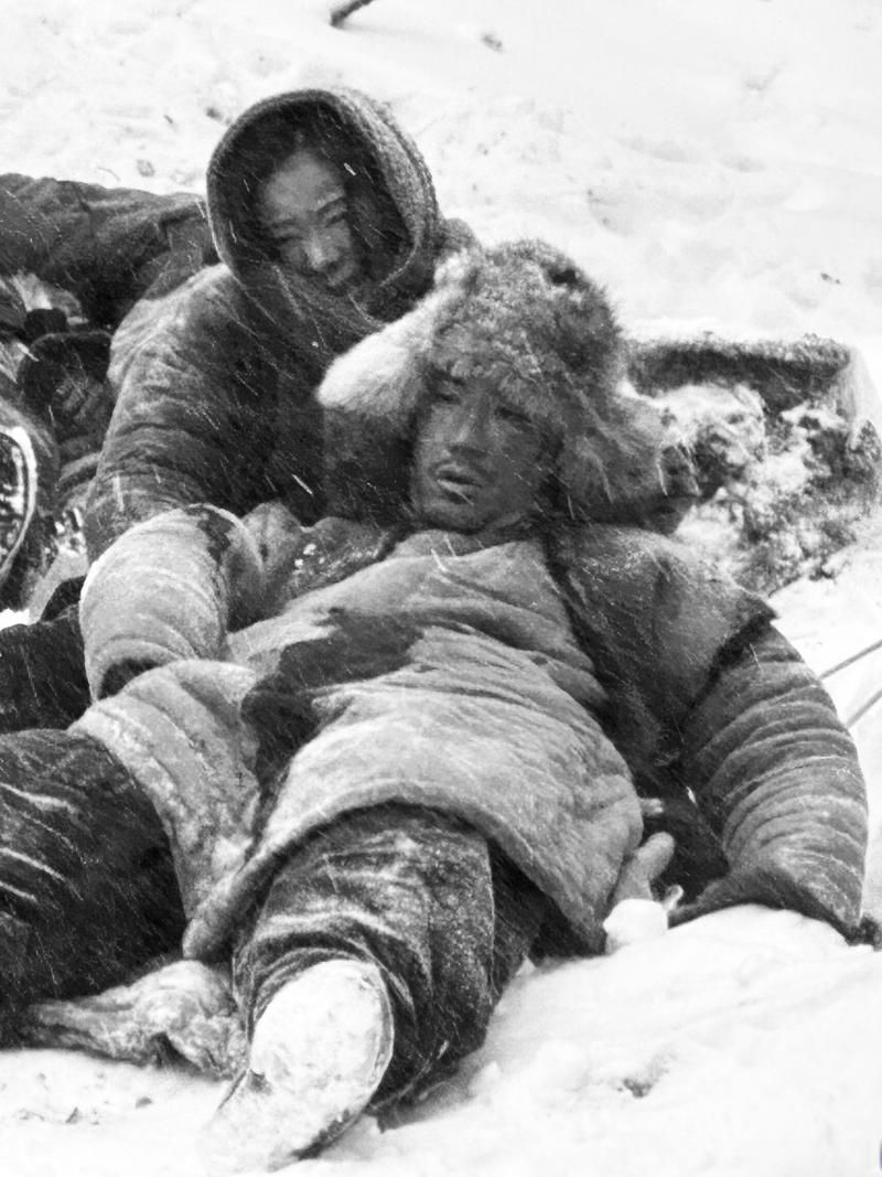 【邱县：华北平原腹地的零感染坚守与物理防线】