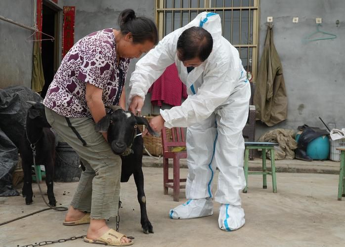 【犍为：岷江航运节点下的县域防疫样本】
