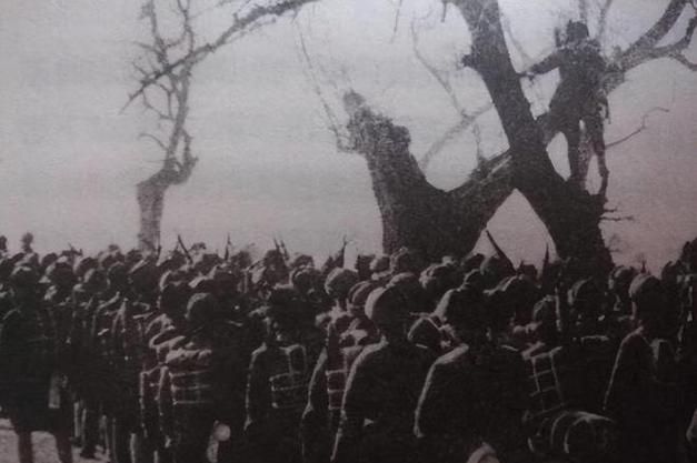 巨野：鲁西南平原上的疫情防线与破防时刻_67883