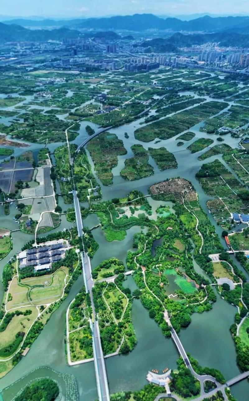 嘉兴市疫情观察：江南水网枢纽的防控压力与地理屏障