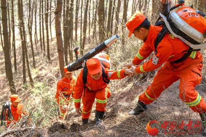 高原屏障下的零感染坚守：泾川地理优势与防疫闭环