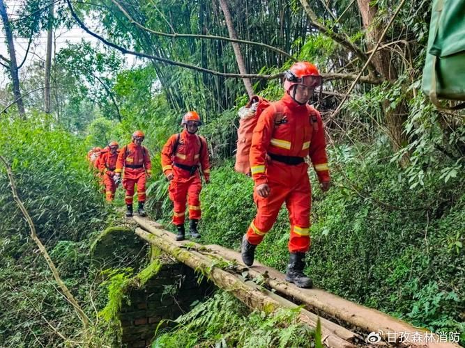 三明：闽中林海屏障下的疫情阻击战