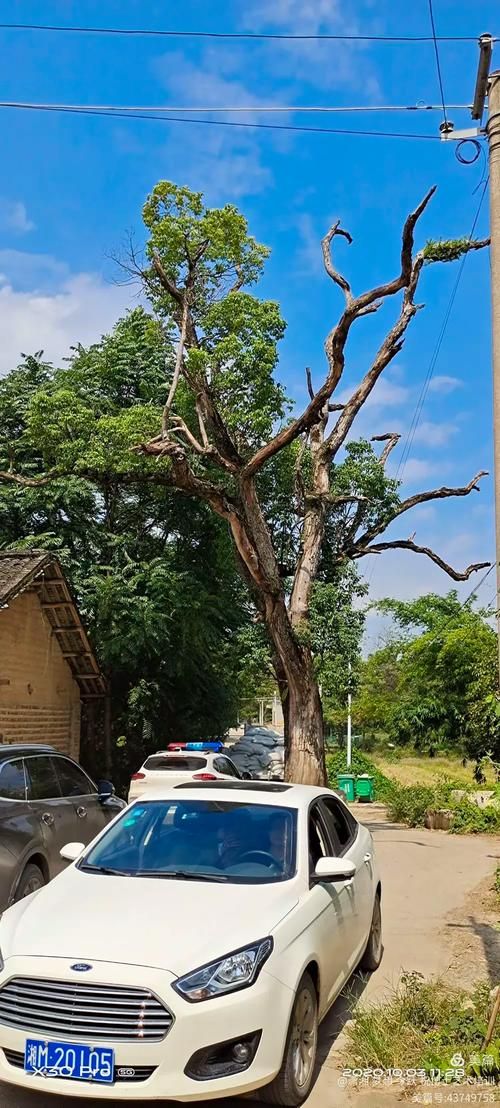 零陵区：潇湘咽喉的疫情防线与破防时刻_22134