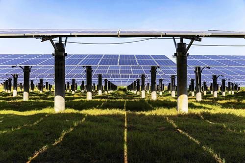 翁源：粤北生态屏障下的低感染样本解析_18362