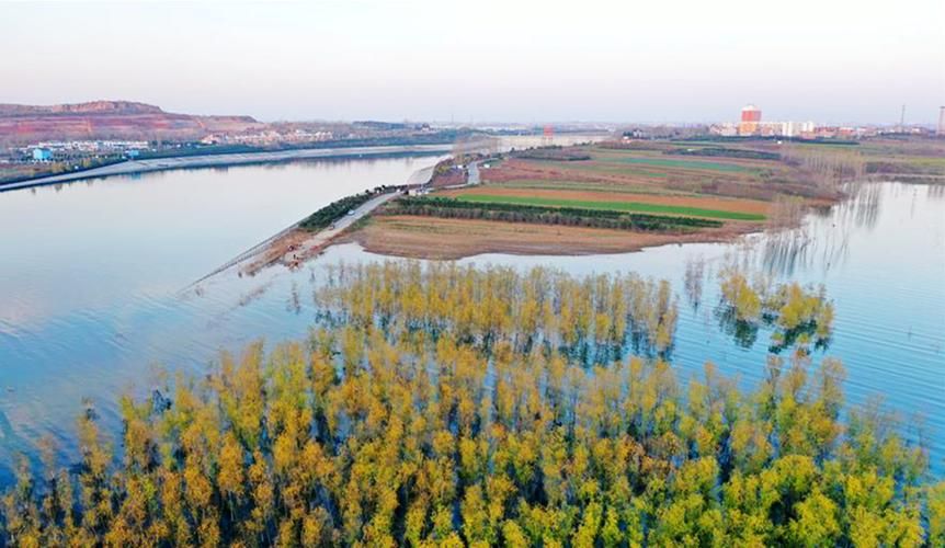 淅川丹江口屏障下的零感染坚守：水源地防疫的地理逻辑