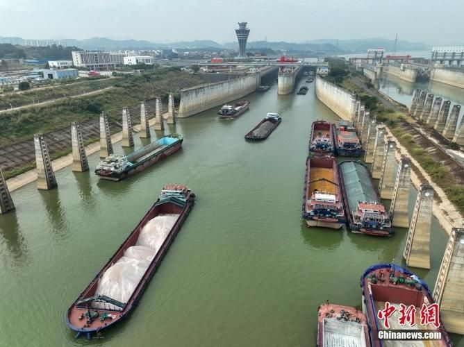 桂平：西江黄金水道上的防疫压力测试_79695