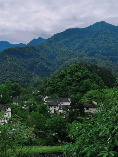 安徽石台：皖南生态屏障下的零感染坚守