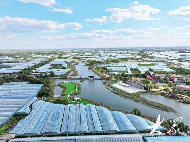 沾化冬枣之乡的防疫坚守：低风险区如何应对输入压力