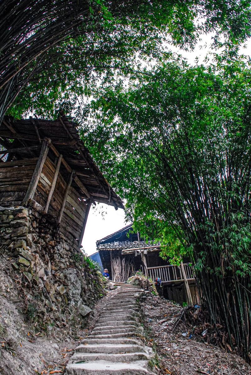 台江：苗疆腹地的零感染防线与隐匿风险_26480