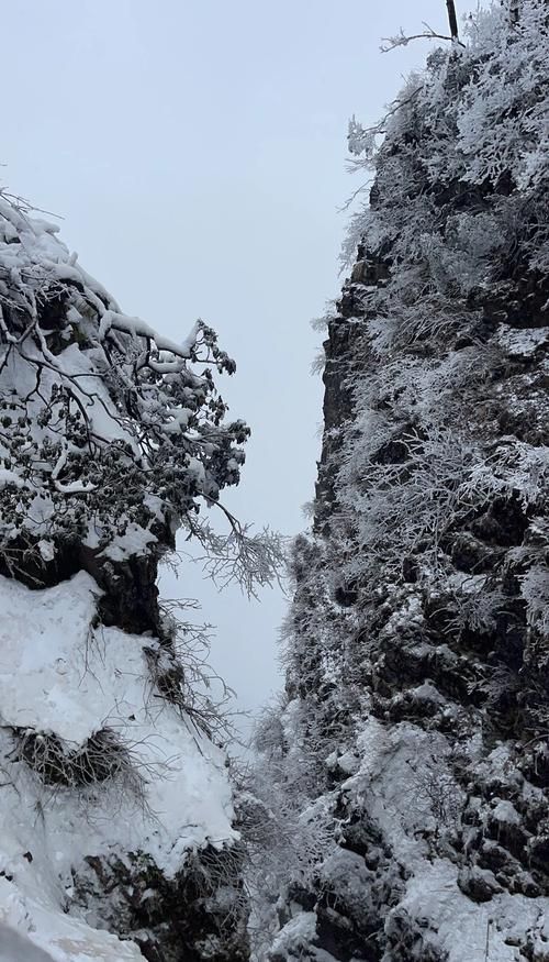 峨眉山下的静默屏障：一座旅游名城的零感染坚守