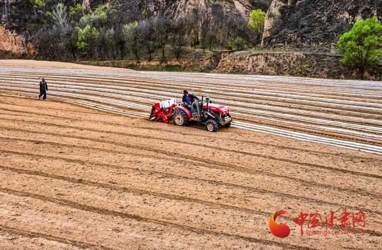 印台区：黄土塬上的疫情防线与零星破防_63299