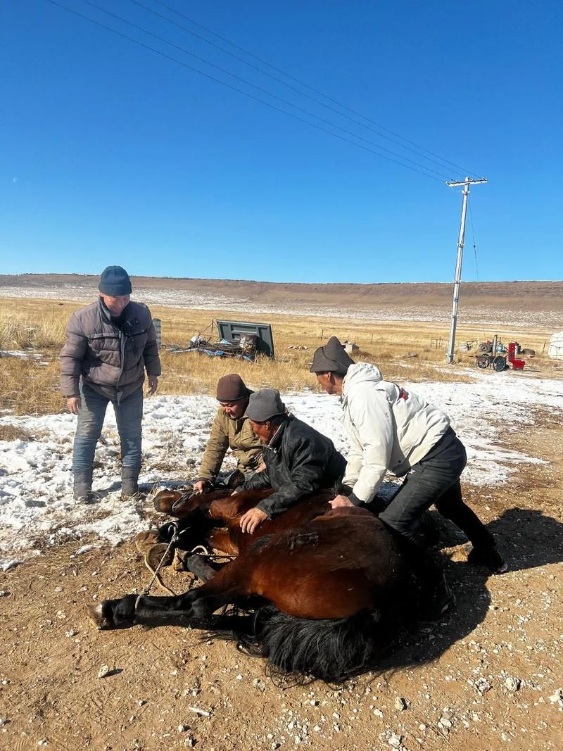 阿巴嘎旗：草原屏障下的零感染坚守