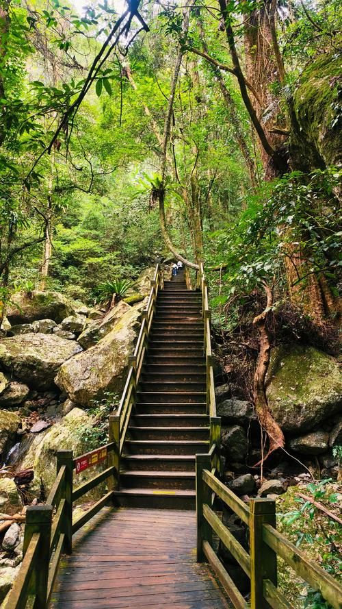 五指山屏障下的零感染坚守：热带雨林气候的防疫物理防线