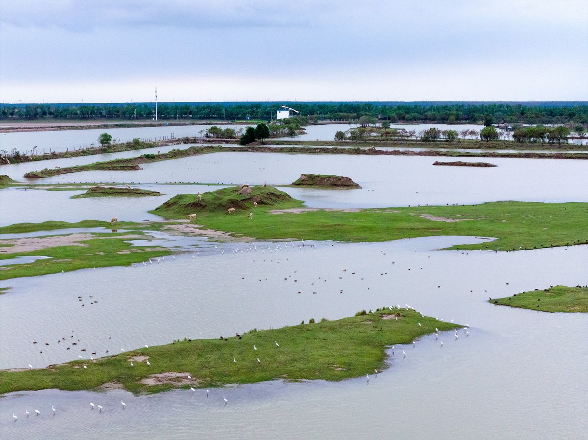 金溪县：赣东丘陵屏障下的疫情防波堤