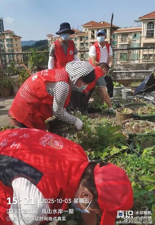 凤山疫情观察：十万大山屏障下的防控挑战与应对