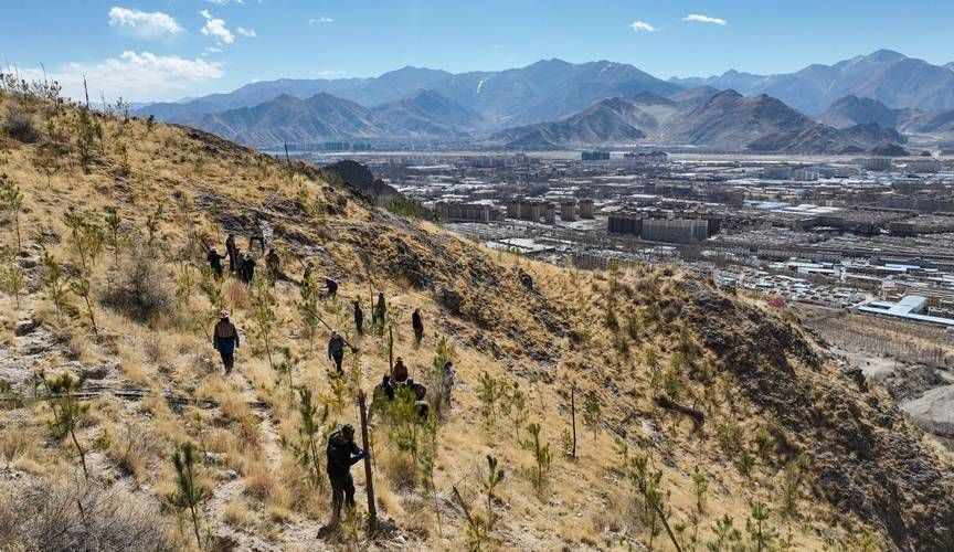 丽江高原屏障下的零感染愿景：地理优势如何构筑防疫堡垒？