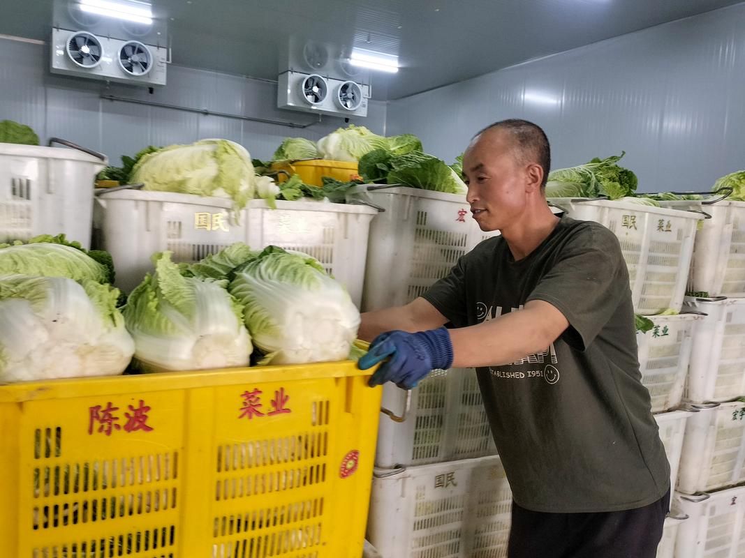 蔬菜之乡的防疫样本：寿光物流枢纽下的精准防控实践